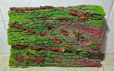 Background dekorasi moss Kandang Tarantula ukuran S